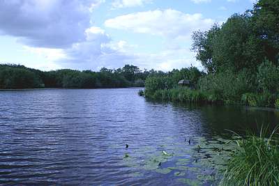 Angelurlaub in Ostfriesland - Fehntjer Meer in Ostrhauderfehn/Niedersachsen.